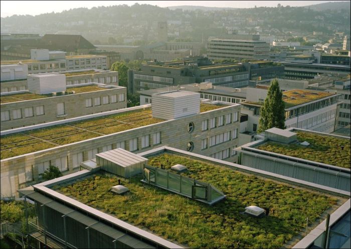Green Roofs (47 pics)