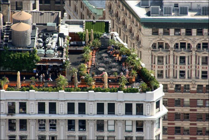 Green Roofs (47 pics)