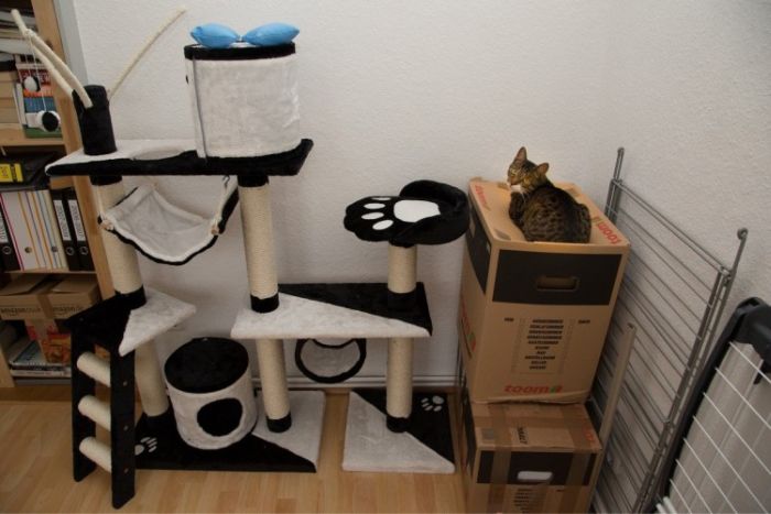 Acid Picdump (89 pics)