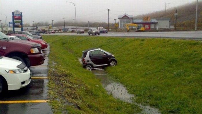 Acid Picdump (89 pics)