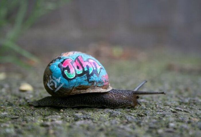 Acid Picdump (89 pics)