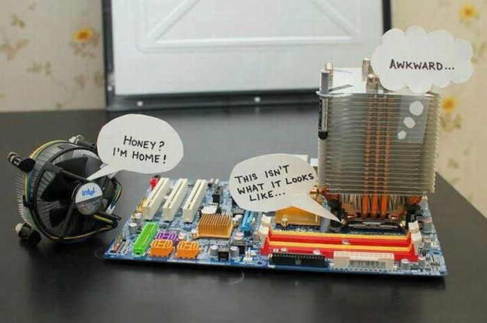 Acid Picdump (89 pics)
