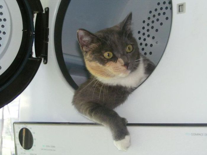 Acid Picdump (89 pics)
