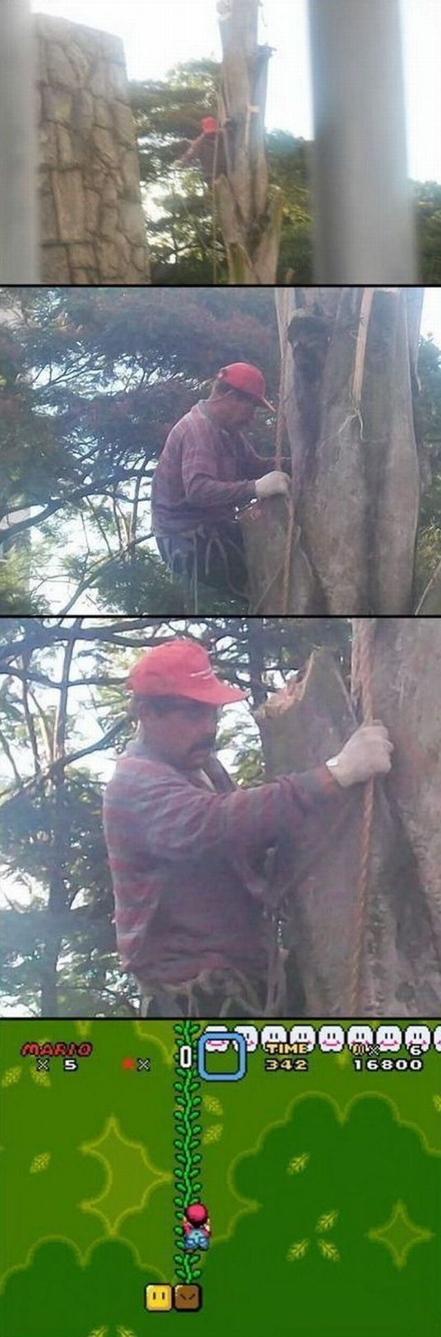 Acid Picdump (89 pics)