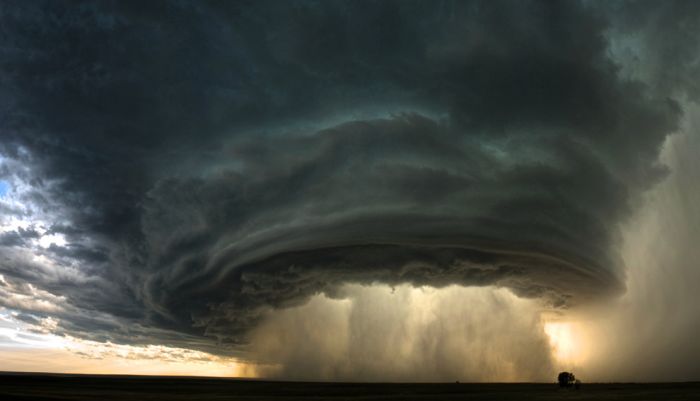 Acid Picdump (89 pics)