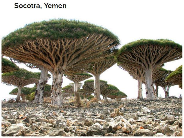 Places That Are Actually Real but Don't Look So (25 pics)