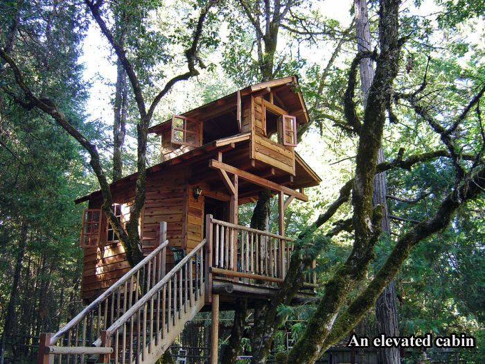 Tree Houses For Adults (17 pics)