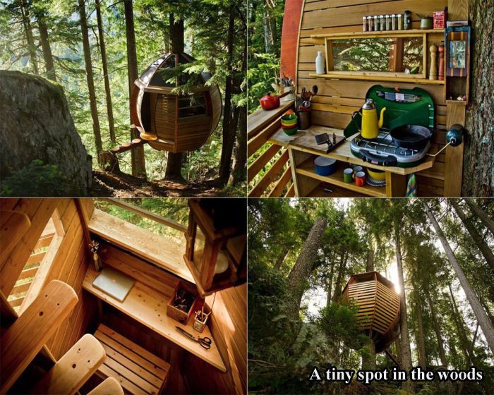 Tree Houses For Adults (17 pics)