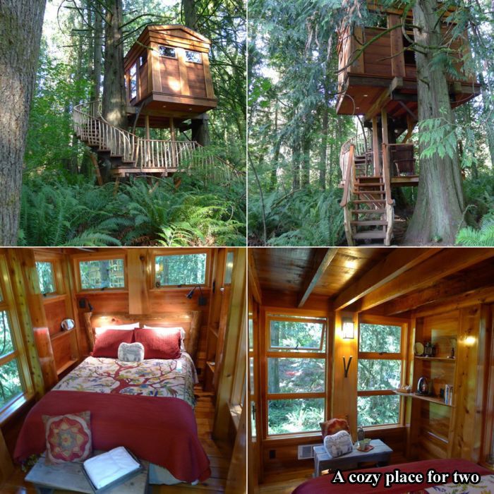 Tree Houses For Adults (17 pics)