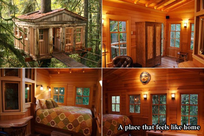 Tree Houses For Adults (17 pics)