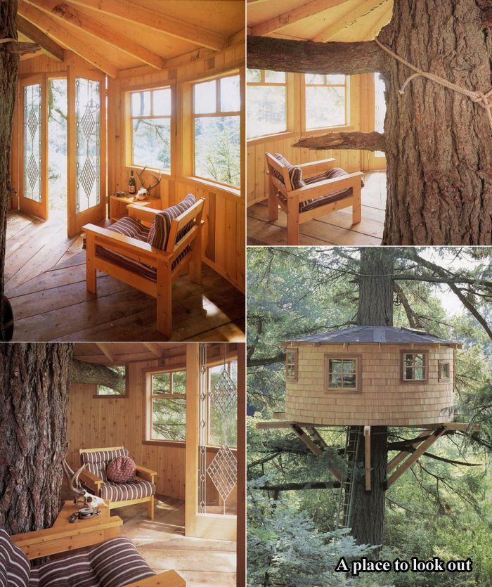 Tree Houses For Adults (17 pics)