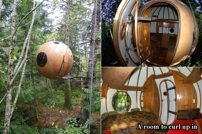 Tree Houses For Adults (17 pics)