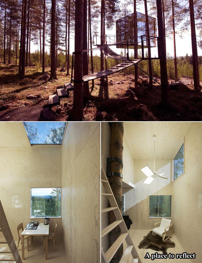 Tree Houses For Adults (17 pics)