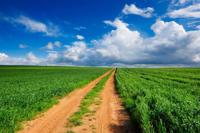 Photographs of South Africa and Namibia (40 pics)