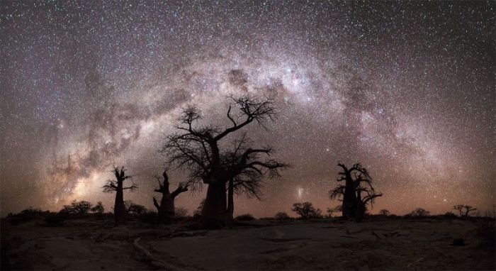 Photographs of South Africa and Namibia (40 pics)