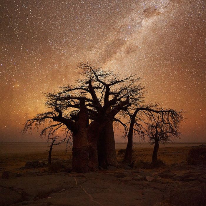 Photographs of South Africa and Namibia (40 pics)
