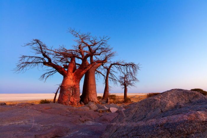 Photographs of South Africa and Namibia (40 pics)