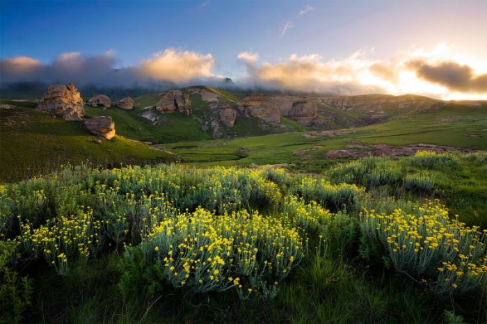 Photographs of South Africa and Namibia (40 pics)