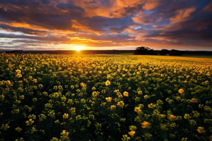 Photographs of South Africa and Namibia (40 pics)