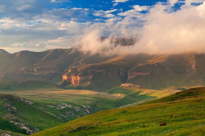 Photographs of South Africa and Namibia (40 pics)