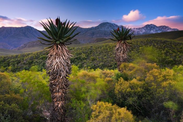 Photographs of South Africa and Namibia (40 pics)