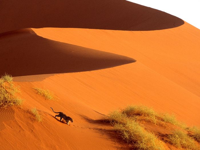 Photographs of South Africa and Namibia (40 pics)
