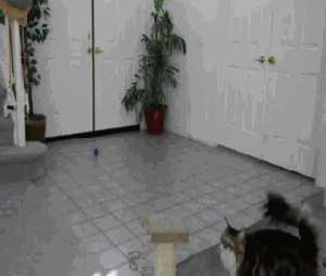 Acid Gifdump (15 gifs)