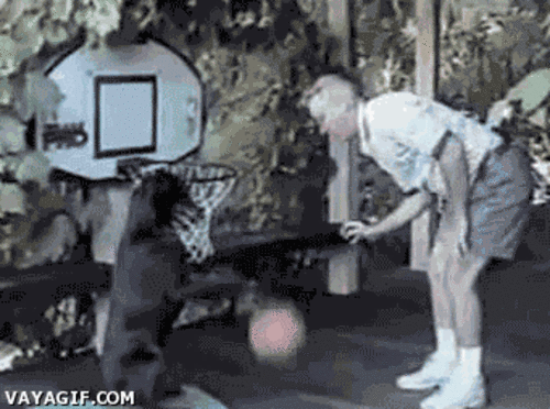 Acid Gifdump (15 gifs)