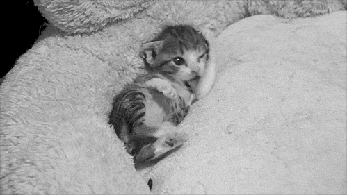 Acid Gifdump (15 gifs)