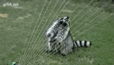 Acid Gifdump (15 gifs)