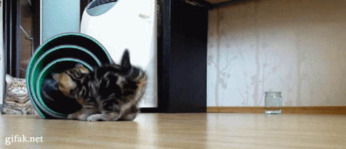 Acid Gifdump (15 gifs)