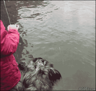 Acid Gifdump (15 gifs)