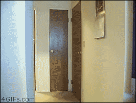 Acid Gifdump (15 gifs)