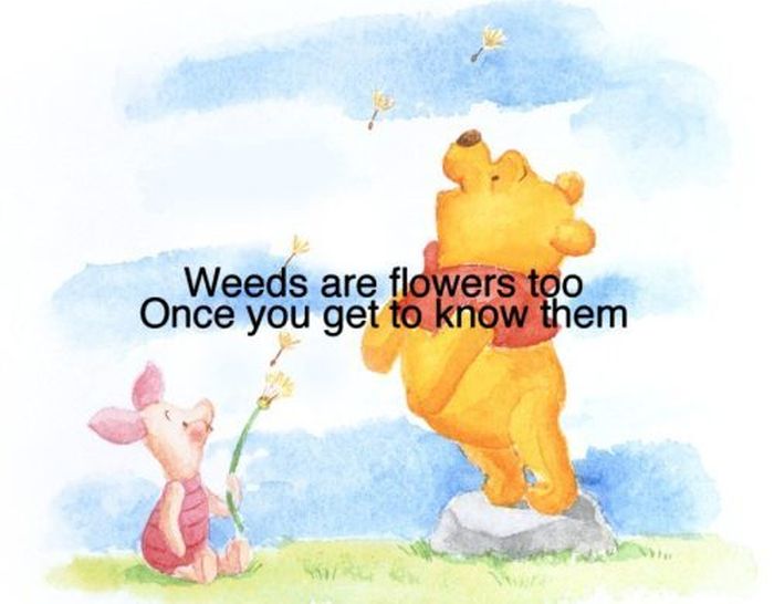 Winnie the Pooh Quotes (15 pics)