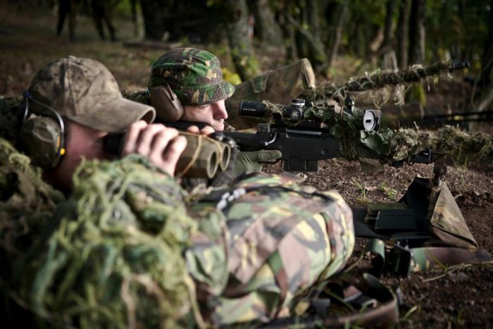 Snipers (29 pics)