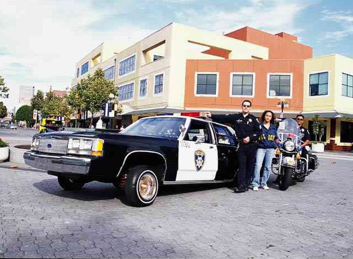 Police Cars (67 pics)