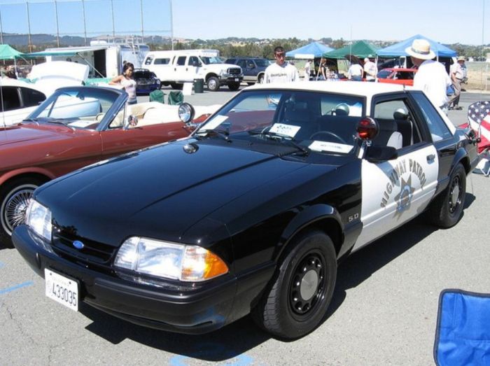 Police Cars (67 pics)