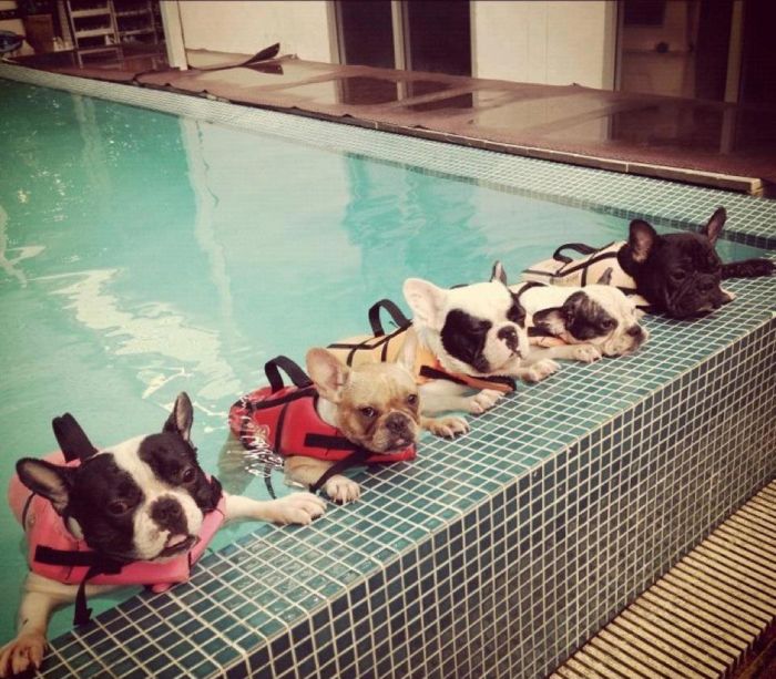 Acid Picdump (108 pics)