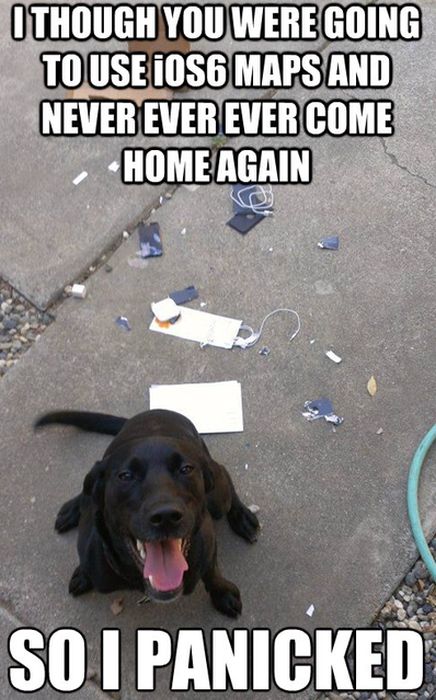 Acid Picdump (108 pics)