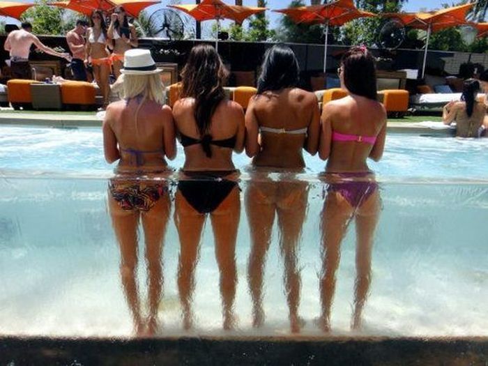 Acid Picdump (108 pics)