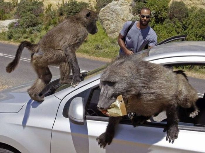 Acid Picdump (108 pics)