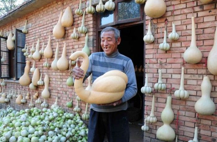 Acid Picdump (108 pics)