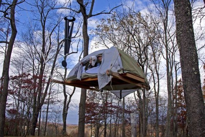 Acid Picdump (108 pics)