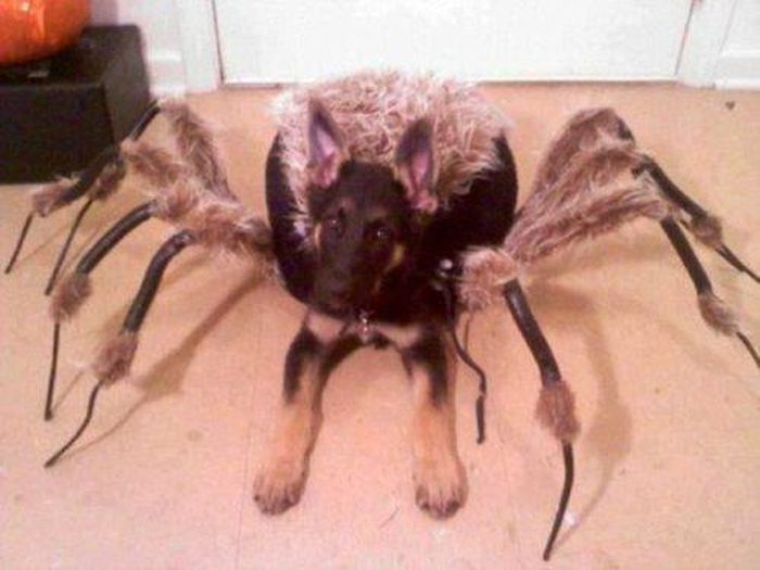 Acid Picdump (108 pics)