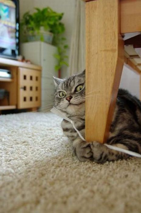 Acid Picdump (108 pics)