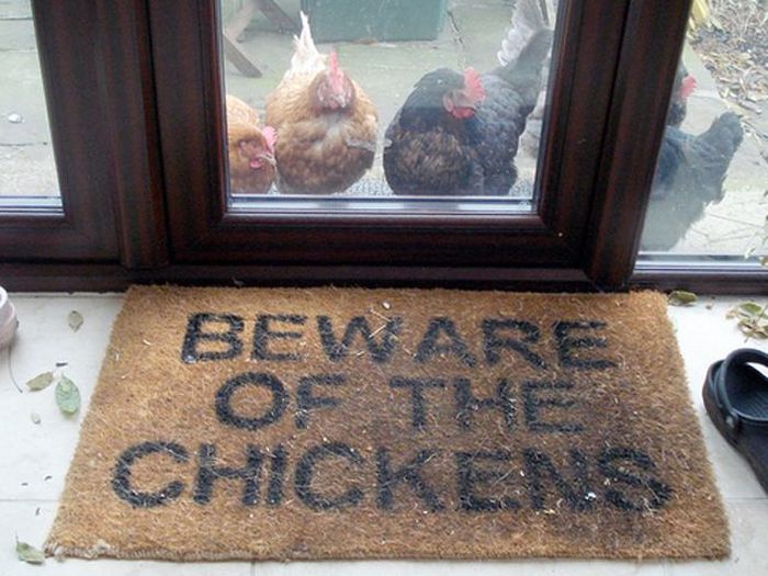 Acid Picdump (108 pics)
