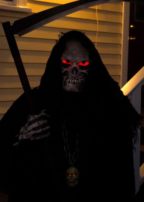 DIY Grim Reaper Costume (16 pics)