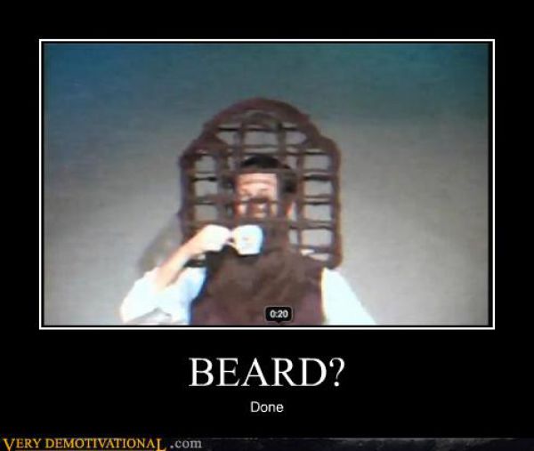 Funny Demotivational Posters (32 pics)