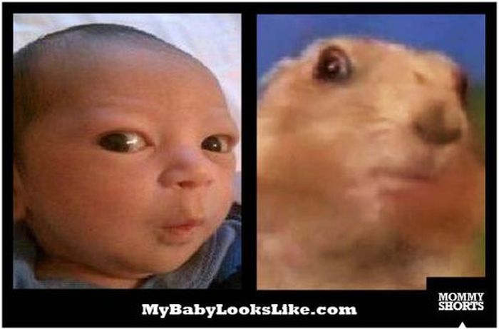 My Baby Looks Like (50 pics)