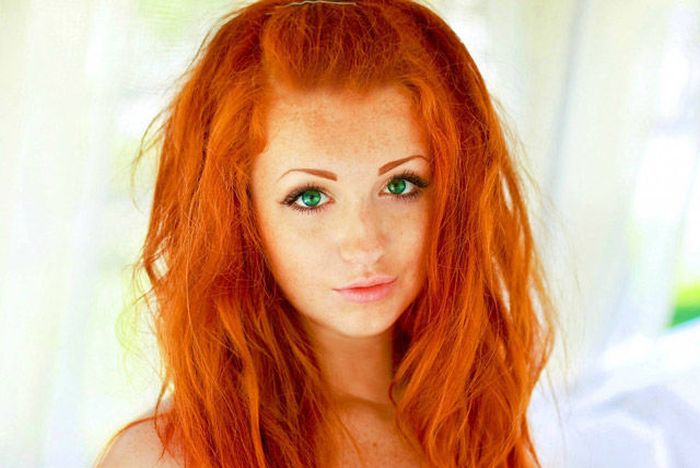 Sexy Redheads (50 pics)